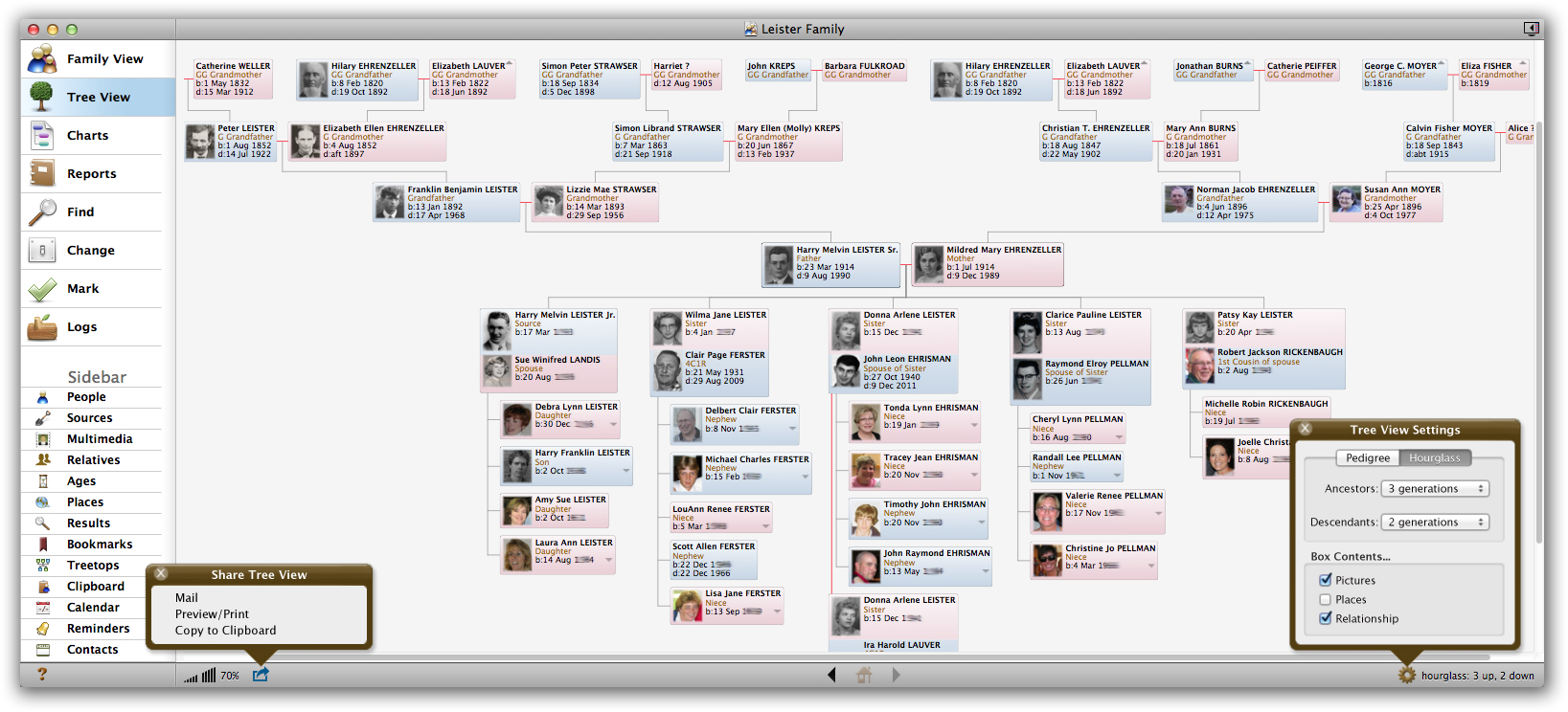 reunion family tree software