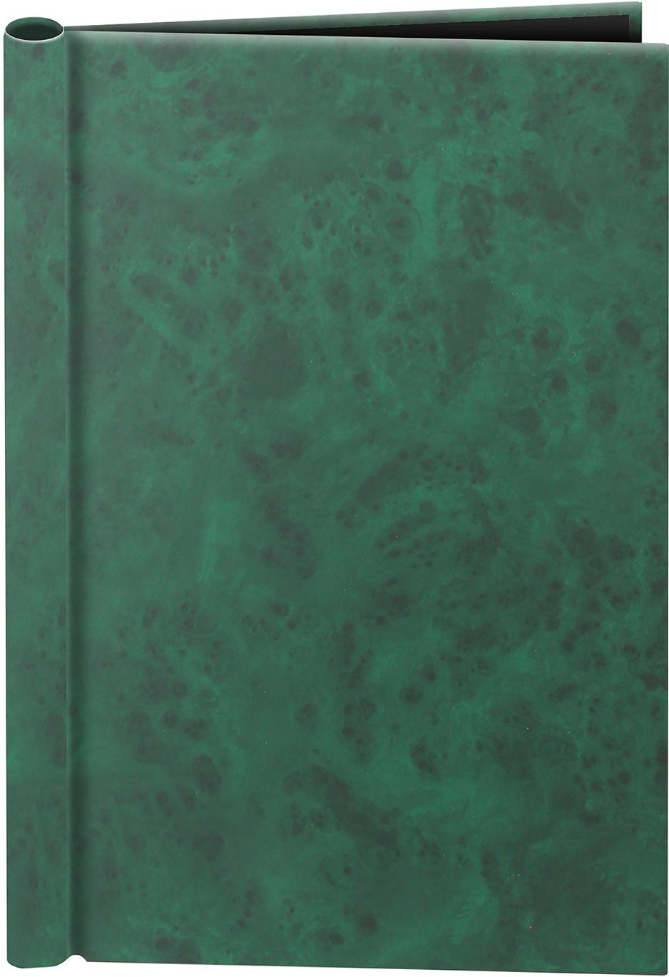 A4 Green Deluxe Family History Springback Binder - Untitled