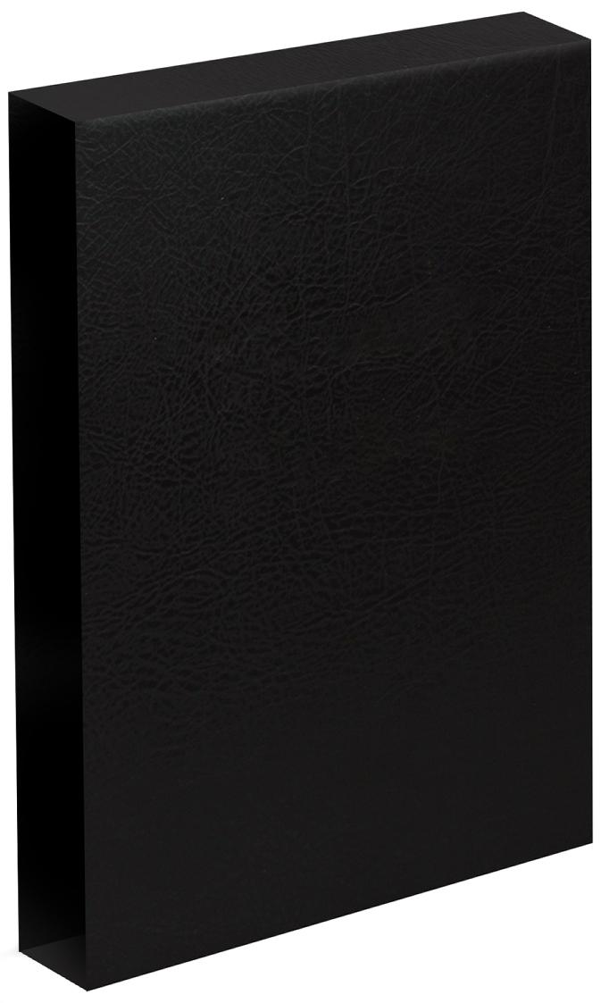 Springback Binder Leather Effect Slip Case - Black