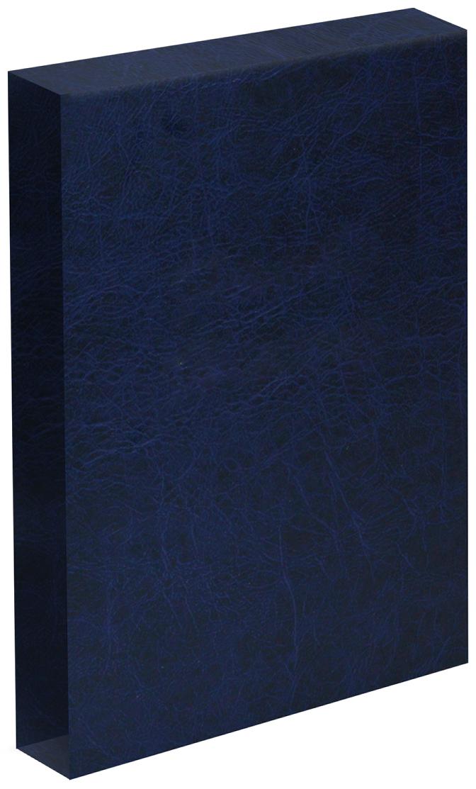 Springback Binder Leather Effect Slip Case - Blue