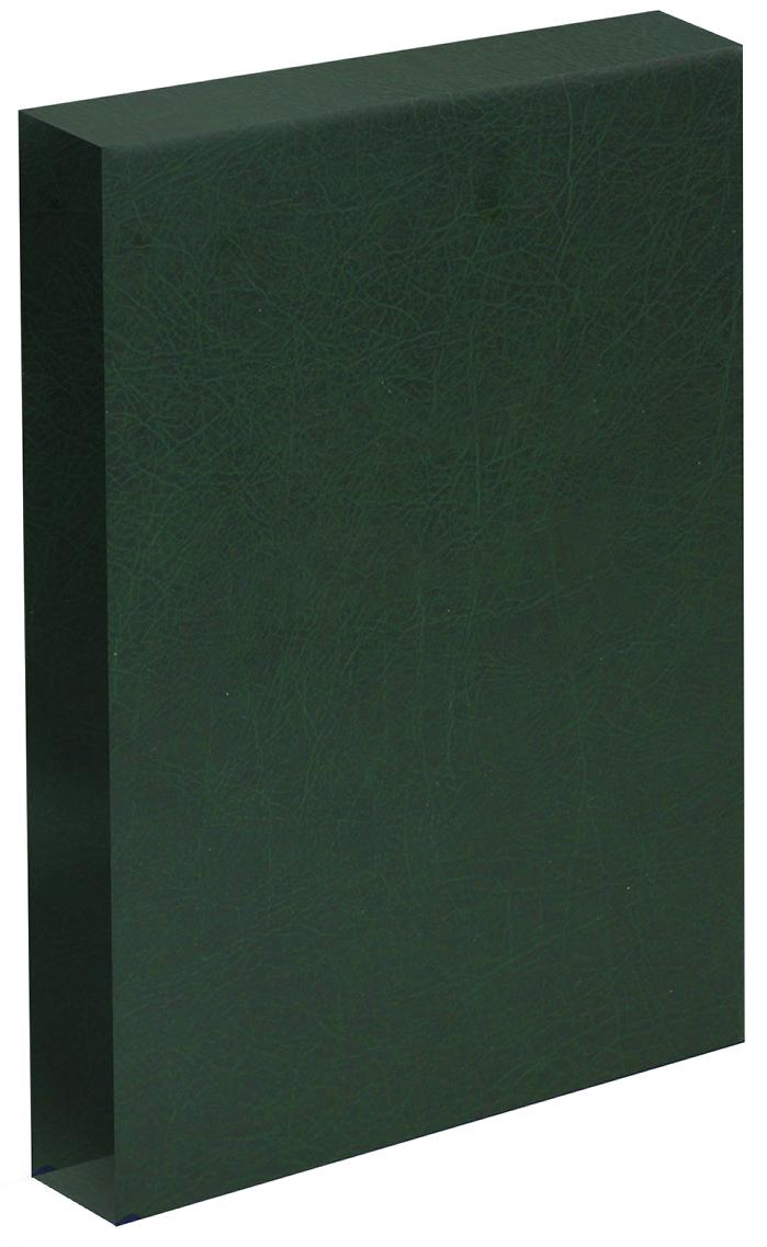 Springback Binder Leather Effect Slip Case - Green