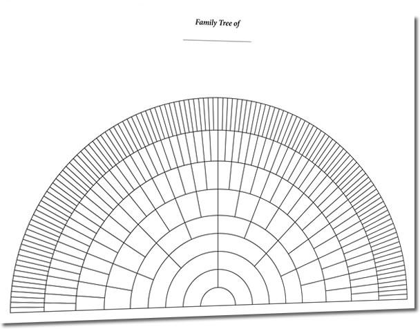 A3 Eight Generation Half Circle Fan Chart - S&N Genealogy ...
