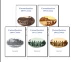 Carmarthenshire Census Bundle - 1841, 1851, 1861, 1871 and 1891
